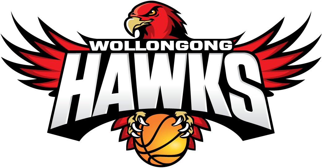 Wollongong Hawks 2008-Pres Primary Logo iron on heat transfer